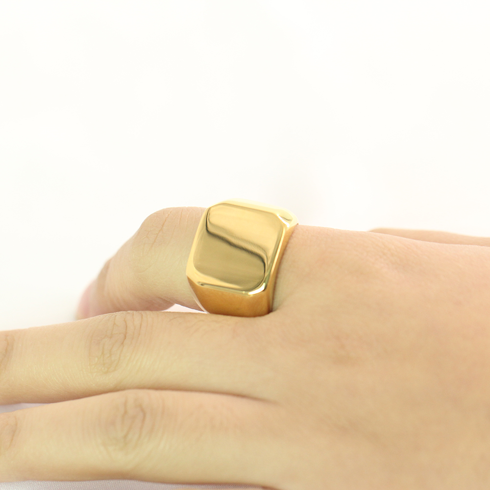 남성용 큰 너비 시그넷 반지, 티타늄 스틸 쥬얼리, 실 - Mens Signet Ring 리뷰 및 가격